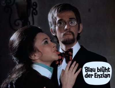 Blau bl�ht der Enzian