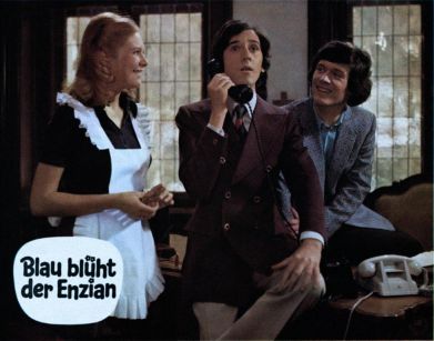 Blau bl�ht der Enzian